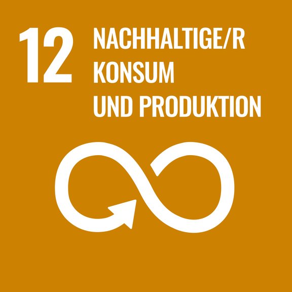 SDG_12_Icon.jpg